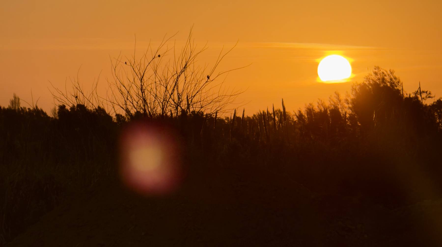 Atardecer sobre un terreno en obra